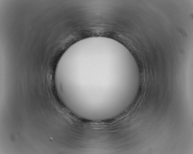 X0000111420615200907131021