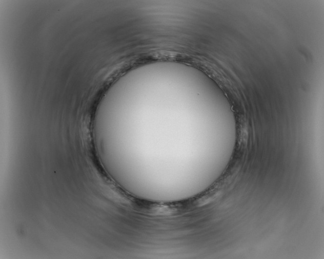 X0000111420616200907131021