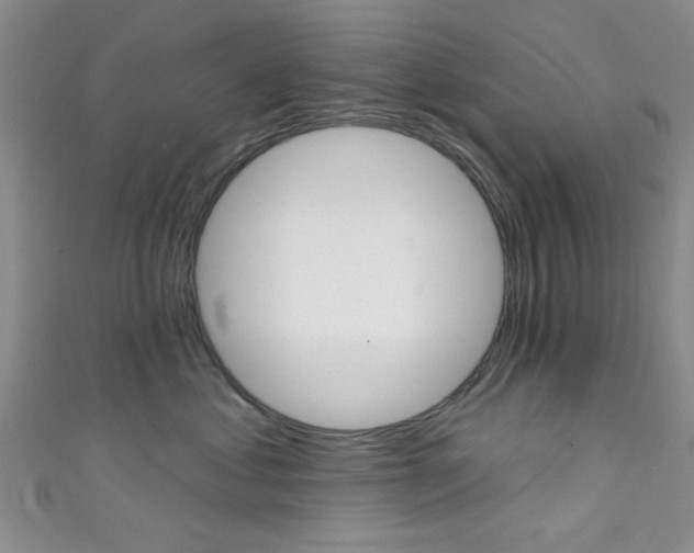 X0000111420621200907131021