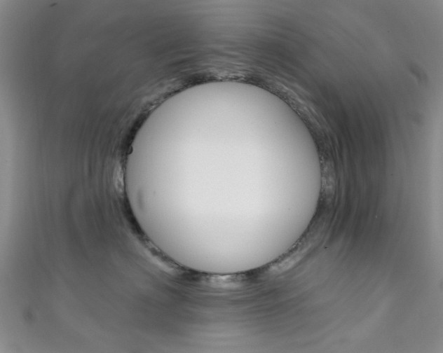 X0000111420622200907131021