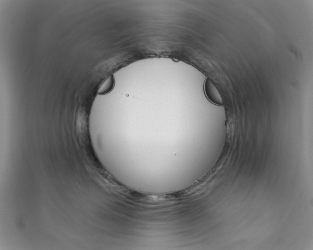 X0000111420623200907131021