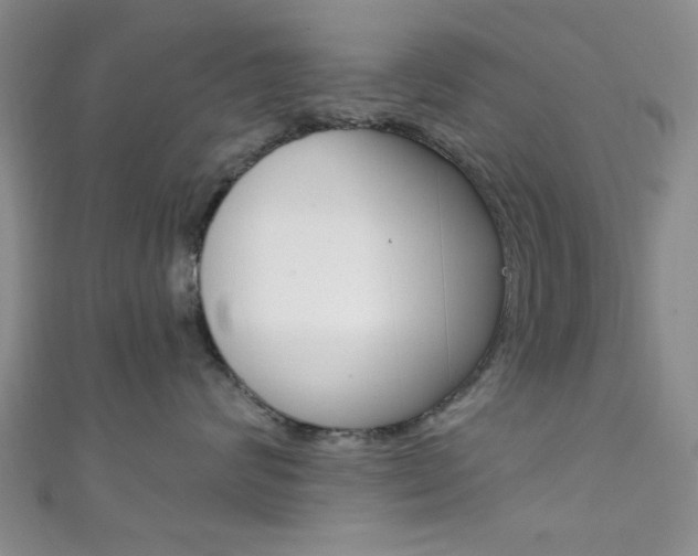 X0000111420624200907131021