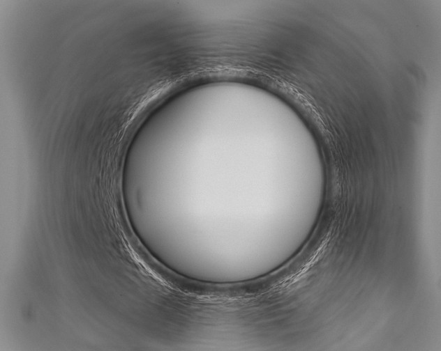 X0000111420625200907131020