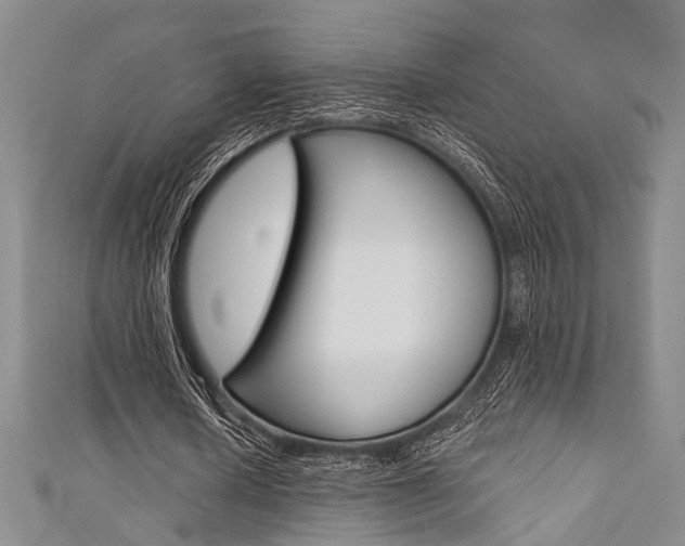 X0000111420626200907131020