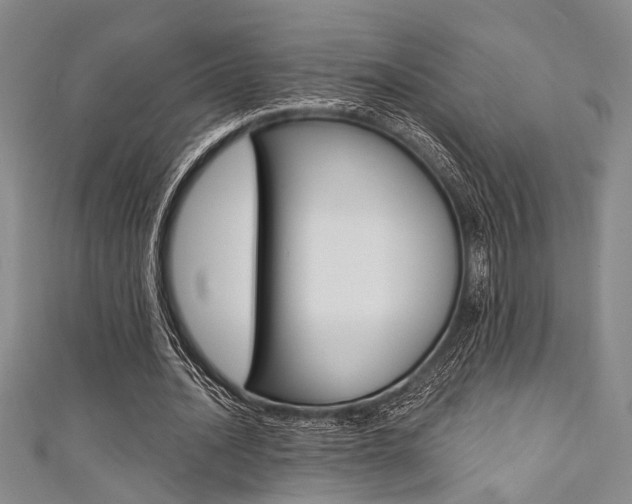 X0000111420628200907131020