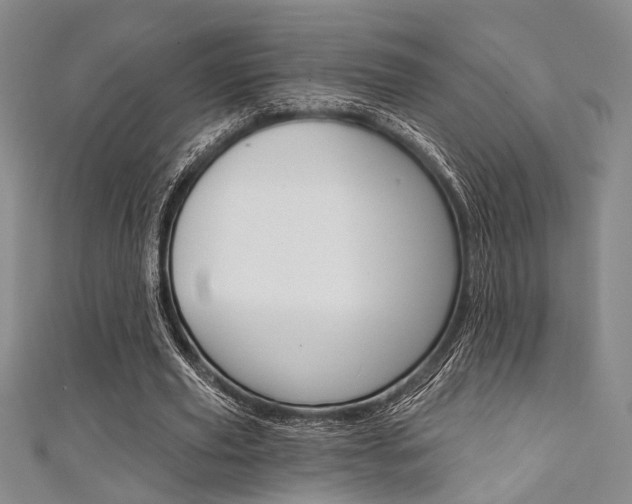 X0000111420629200907131020