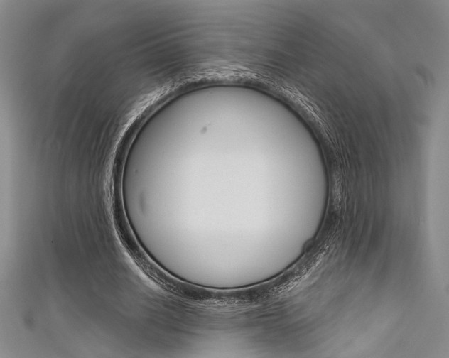 X0000111420630200907131020