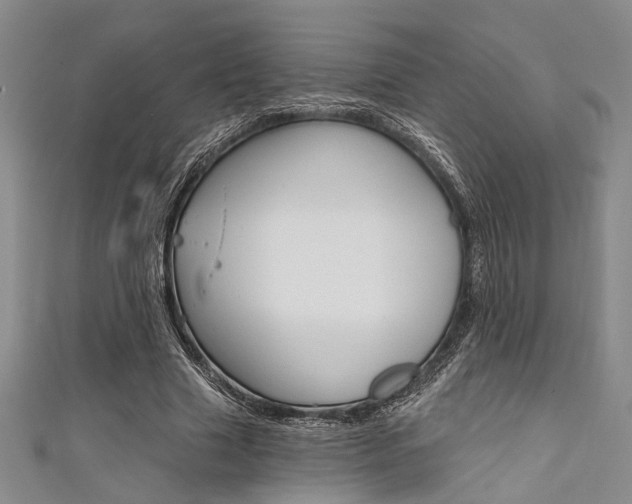 X0000111420633200907131021