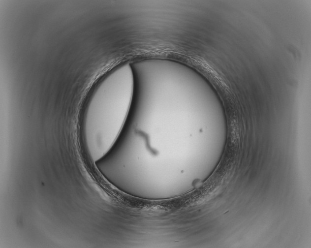 X0000111420634200907131021