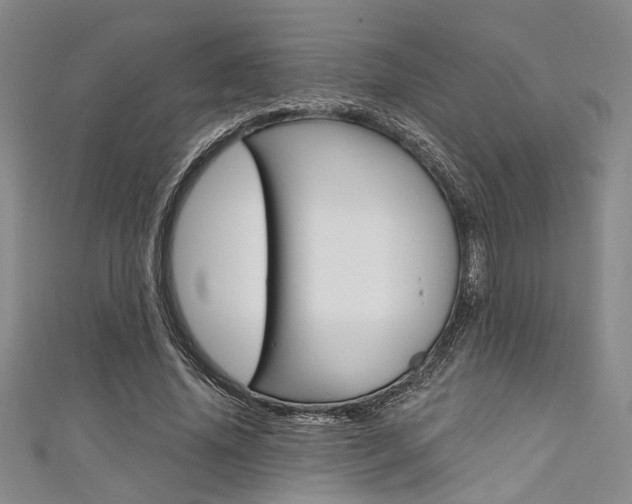 X0000111420636200907131021