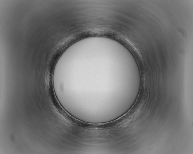 X0000111420637200907131021