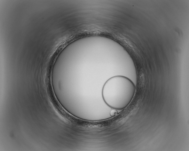 X0000111420638200907131021