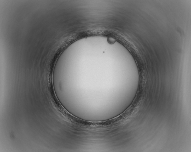 X0000111420641200907131021