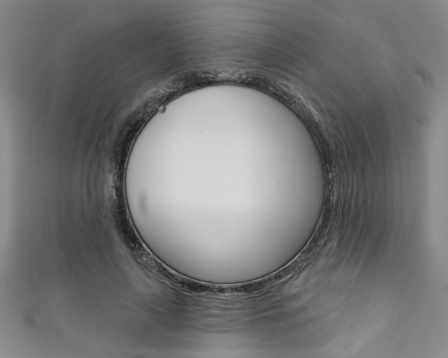 X0000111420643200907131021