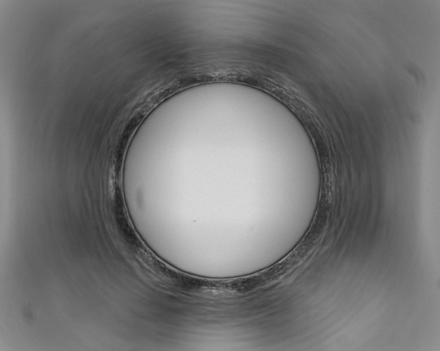 X0000111420644200907131021