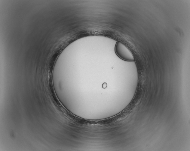 X0000111420645200907131021