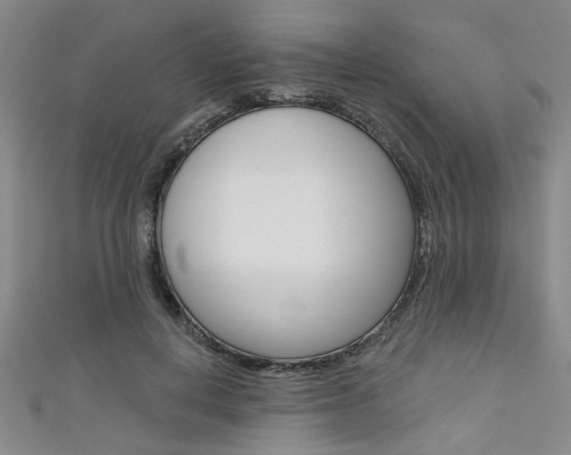 X0000111420648200907131021