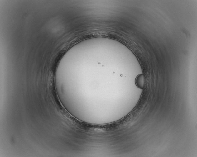 X0000111420649200907131021