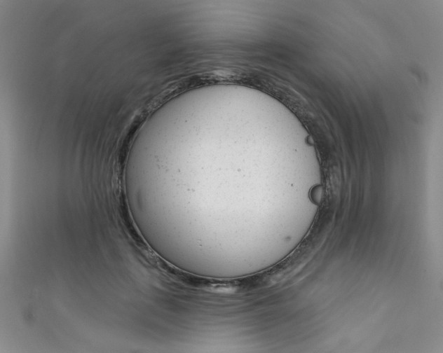 X0000111420651200907131021