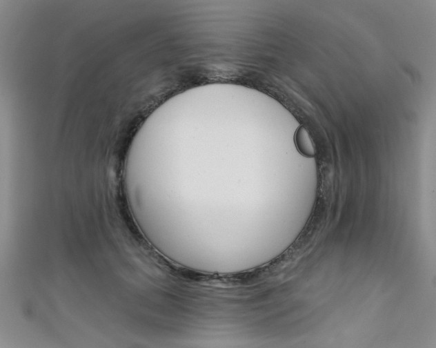 X0000111420655200907131021
