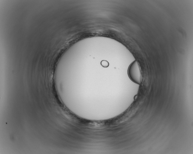 X0000111420660200907131021