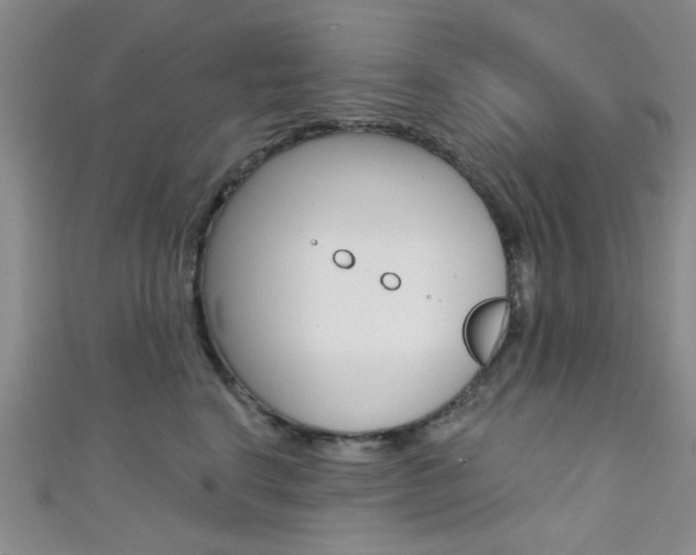 X0000111420664200907131021