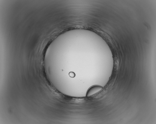X0000111420665200907131021
