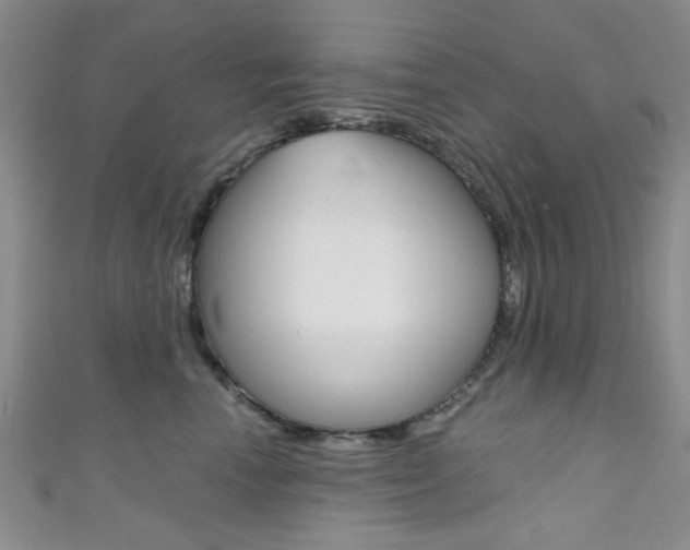 X0000111420666200907131021