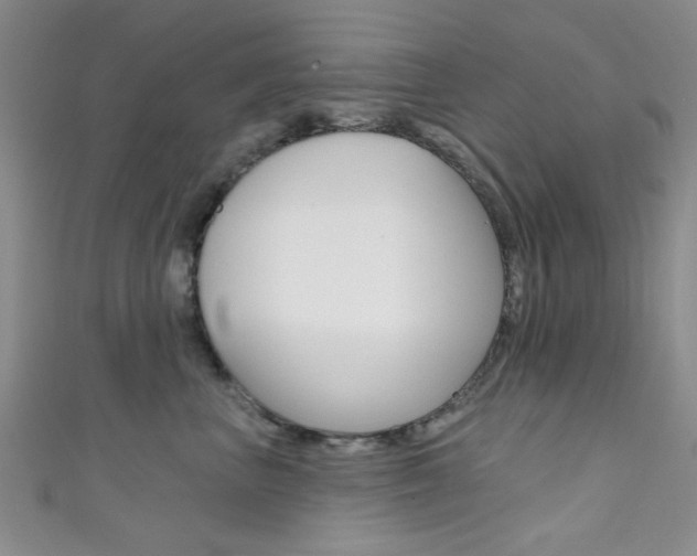 X0000111420667200907131021