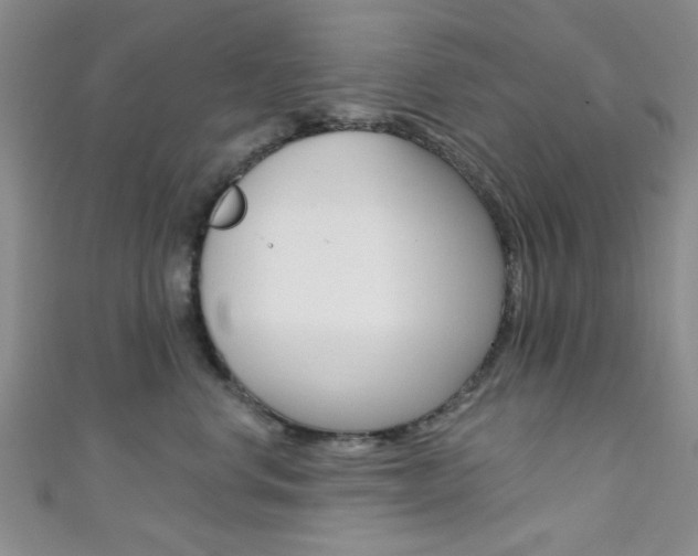 X0000111420668200907131021