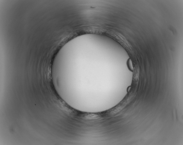 X0000111420669200907131021