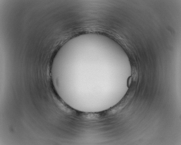 X0000111420670200907131021