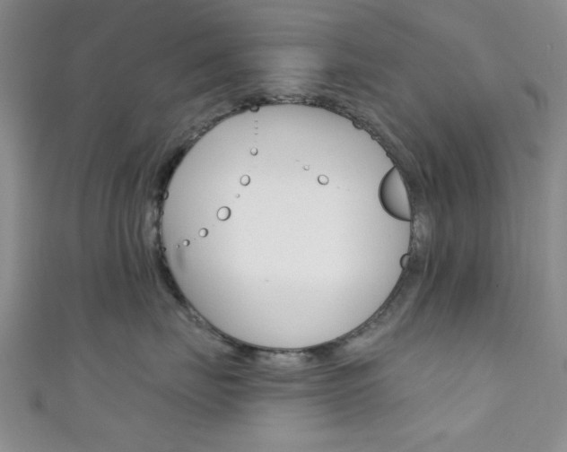 X0000111420671200907131021