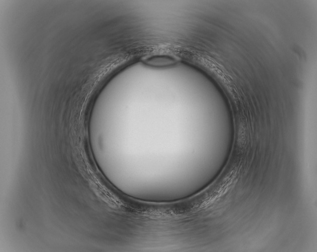 X0000111420673200907131020