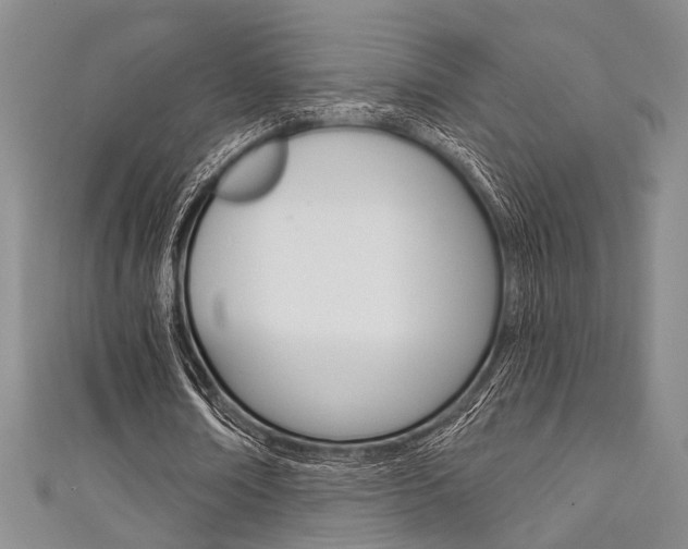 X0000111420674200907131020