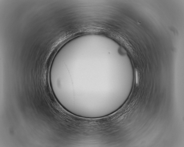 X0000111420675200907131020