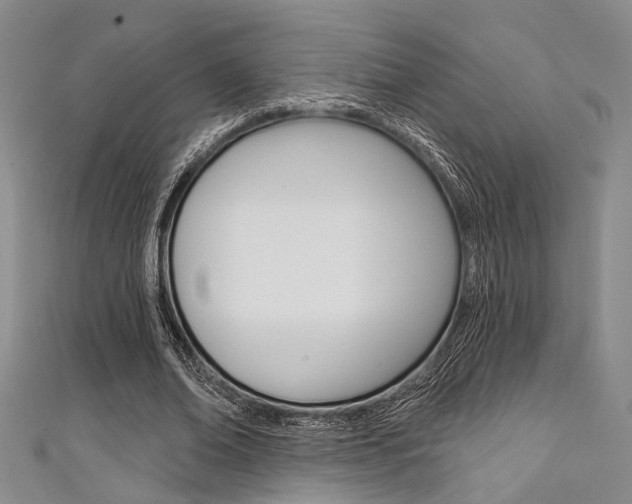X0000111420678200907131020