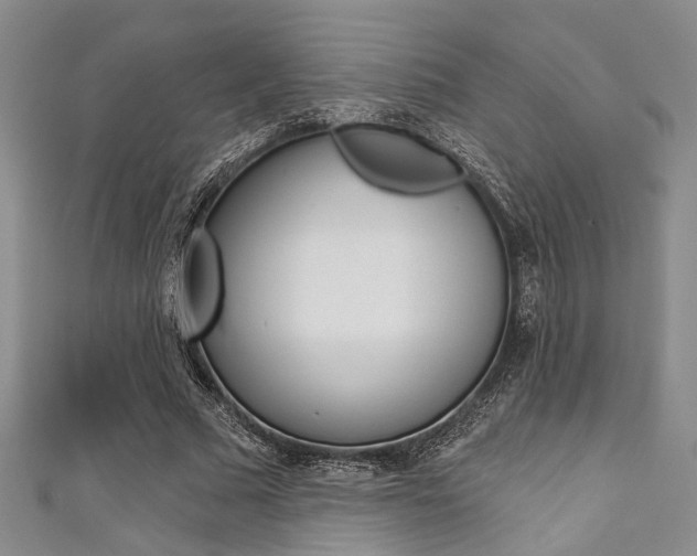 X0000111420681200907131020