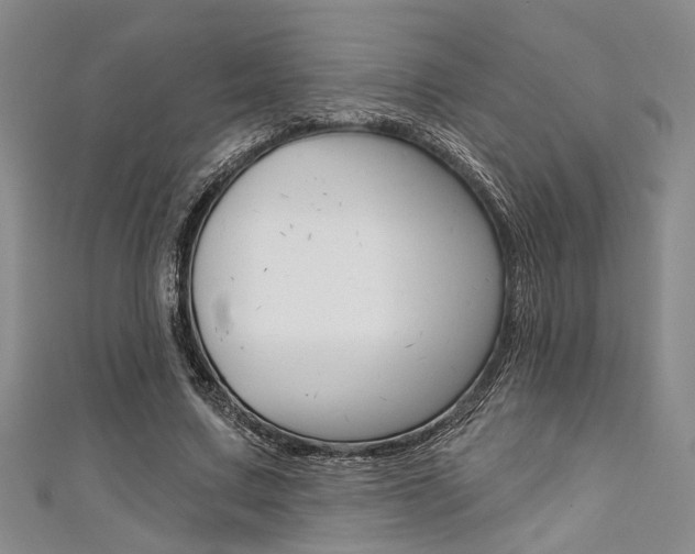 X0000111420683200907131020