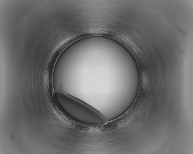 X0000111420684200907131020