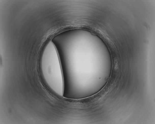 X0000111420685200907131020
