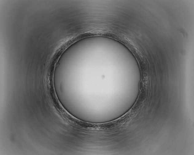 X0000111420688200907131020