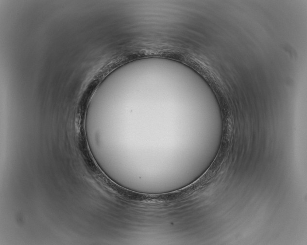 X0000111420691200907131020