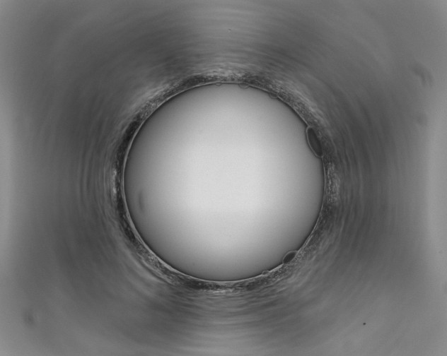 X0000111420692200907131020