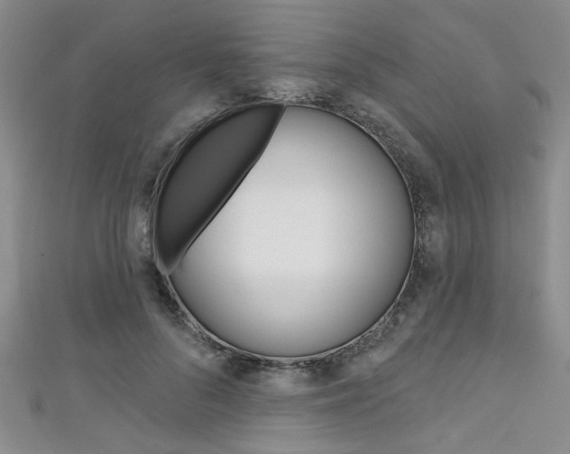 X0000111420696200907131020