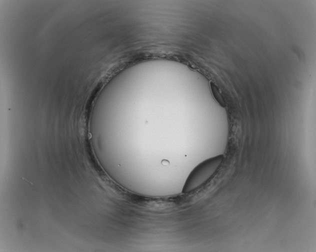 X0000111420708200907131020