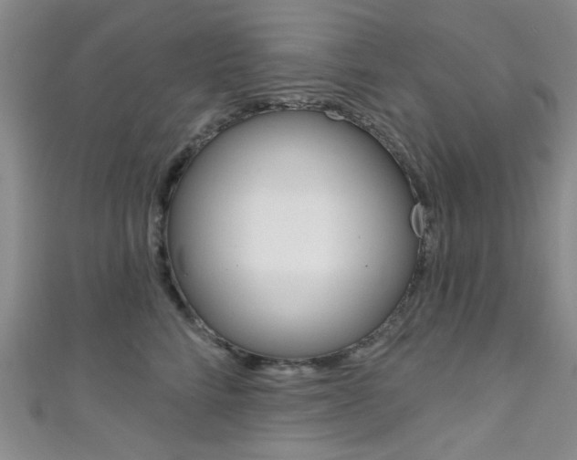 X0000111420712200907131020