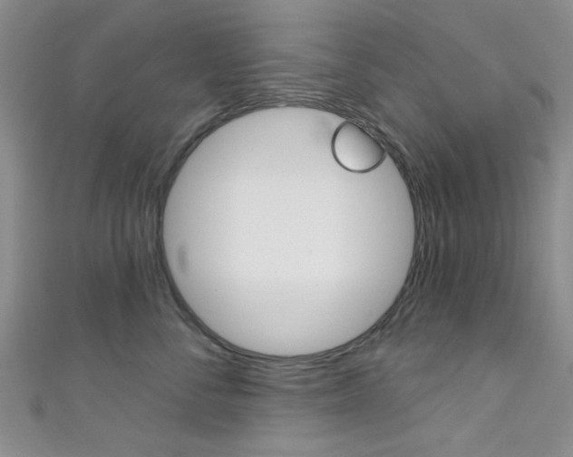 X0000111420716200907131020