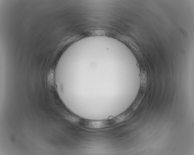 X0000111420717200907131020