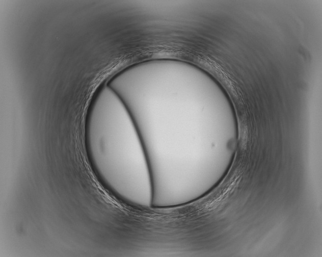 X0000111420721200907131019